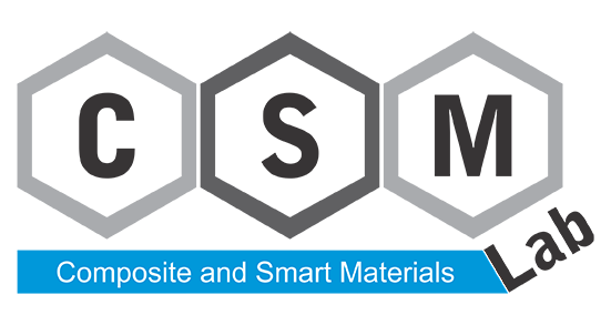 csm lab logo medium